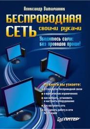 бесплатно читать книгу Беспроводная сеть своими руками автора Александр Ватаманюк