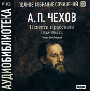 бесплатно читать книгу Повести и рассказы 1892 – 1894 г.г. Том 20 автора Антон Чехов