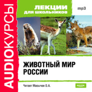 бесплатно читать книгу Животный мир России автора  Коллектив авторов