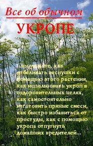 бесплатно читать книгу Все об обычном укропе автора Иван Дубровин