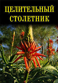 бесплатно читать книгу Целительный столетник автора Иван Дубровин