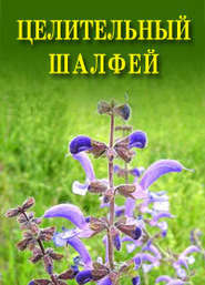 бесплатно читать книгу Целительный шалфей автора Иван Дубровин