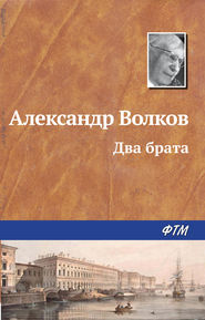бесплатно читать книгу Два брата автора Александр Волков