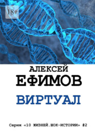 бесплатно читать книгу Виртуал автора Алексей Ефимов