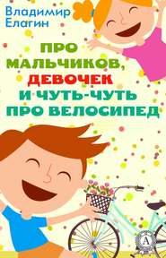 бесплатно читать книгу Про мальчиков девочек и чуть-чуть про велосипед автора Владимир Елагин