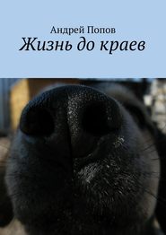бесплатно читать книгу Жизнь до краев автора Андрей Попов