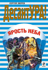 бесплатно читать книгу Ярость неба автора Сергей Зверев