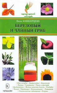 бесплатно читать книгу Березовый и чайный гриб автора Нина Башкирцева