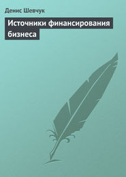 бесплатно читать книгу Источники финансирования бизнеса автора Денис Шевчук