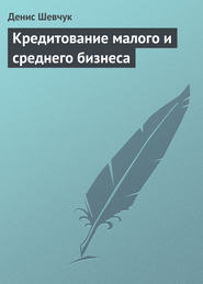 бесплатно читать книгу Кредитование малого и среднего бизнеса автора Денис Шевчук