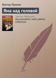 бесплатно читать книгу Яма над головой автора С. Ведехина