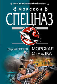 бесплатно читать книгу Морская стрелка автора Сергей Зверев