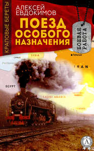 бесплатно читать книгу Поезд особого назначения автора Алексей Евдокимов