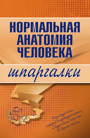 бесплатно читать книгу Нормальная анатомия человека автора Максим Кабков