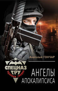 бесплатно читать книгу Ангелы апокалипсиса автора Анатолий Гончар