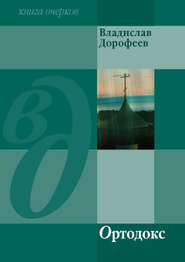бесплатно читать книгу Ортодокс (сборник) автора Владислав Дорофеев