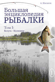 бесплатно читать книгу Большая энциклопедия рыбалки. Том 1 автора Антон Шаганов