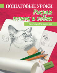 бесплатно читать книгу Пошаговые уроки рисования. Рисуем кошек и собак автора Виктория Мазовецкая