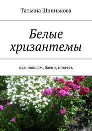 бесплатно читать книгу Белые хризантемы автора Татьяна Шпинькова