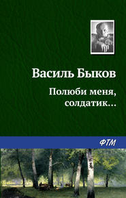 бесплатно читать книгу Полюби меня, солдатик… автора Василий Быков