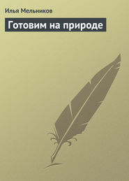 бесплатно читать книгу Готовим на природе автора Илья Мельников