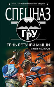 бесплатно читать книгу Тень летучей мыши автора Михаил Нестеров