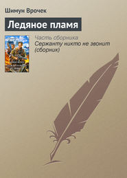 бесплатно читать книгу Ледяное пламя автора Шимун Врочек