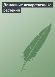 бесплатно читать книгу Домашние лекарственные растения автора Илья Мельников