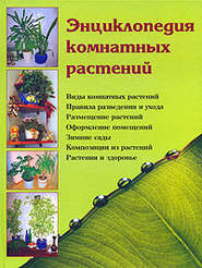 бесплатно читать книгу Энциклопедия комнатных растений автора Наталья Шешко