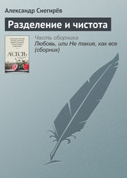 бесплатно читать книгу Разделение и чистота автора Александр Снегирёв