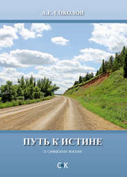 бесплатно читать книгу Путь к истине (о символах жизни) автора Алексей Соколов