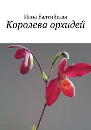 бесплатно читать книгу Королева орхидей автора Инна Балтийская
