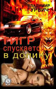бесплатно читать книгу Тигр спускается в долину автора Владимир Гурвич