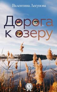 бесплатно читать книгу Дорога к озеру автора Валентина Лесунова