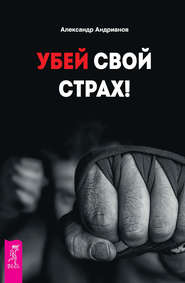 бесплатно читать книгу Убей свой страх! автора Александр Андрианов