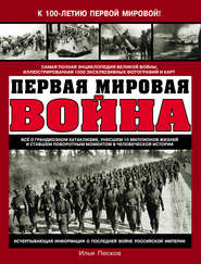 бесплатно читать книгу Первая Мировая война. Самая полная энциклопедия автора Илья Песков