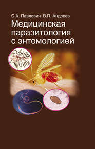 бесплатно читать книгу Медицинская паразитология с энтомологией автора Виктор Андреев