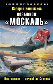 бесплатно читать книгу Позывной: «Москаль». Наш человек – лучший ас Сталина автора Валерий Большаков