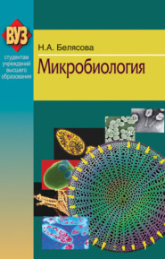 бесплатно читать книгу Микробиология автора Наталья Белясова