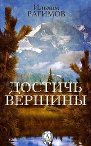 бесплатно читать книгу Достичь вершины автора Ильхам Рагимов