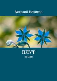 бесплатно читать книгу Плут. роман автора Виталий Новиков