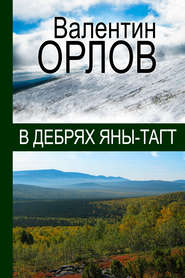 бесплатно читать книгу В дебрях Яны-Тагт автора Валентин Орлов
