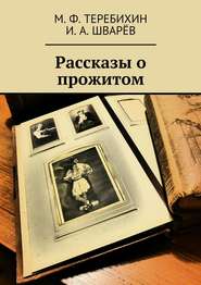 бесплатно читать книгу Рассказы о прожитом автора М. Теребихин