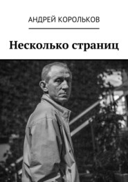 бесплатно читать книгу Несколько страниц автора Андрей Корольков