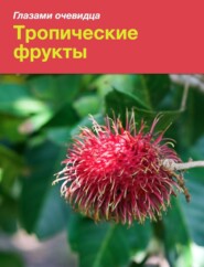 бесплатно читать книгу Тропические фрукты автора Екатерина Пугачёва