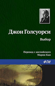 бесплатно читать книгу Выбор автора Джон Голсуорси