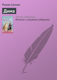 бесплатно читать книгу Дима автора Роман Сенчин