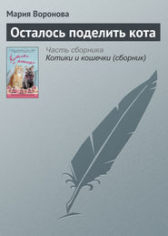 бесплатно читать книгу Осталось поделить кота автора Мария Воронова