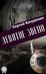 бесплатно читать книгу Девятое звено автора Сергей Качуренко
