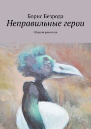 бесплатно читать книгу Неправильные герои. Сборник рассказов автора Борис Безрода